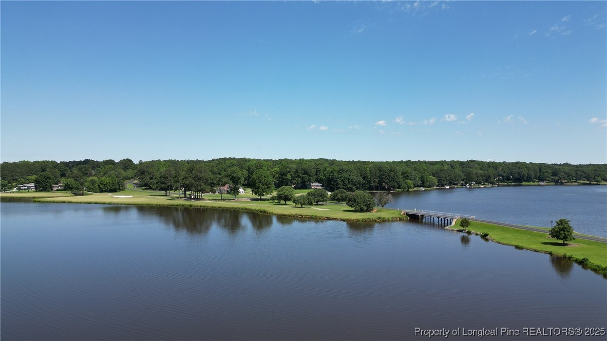 1036 Meadow Reach Sanford, NC 27332 - Photo 27 of 30 a view of a lake with houses in the back