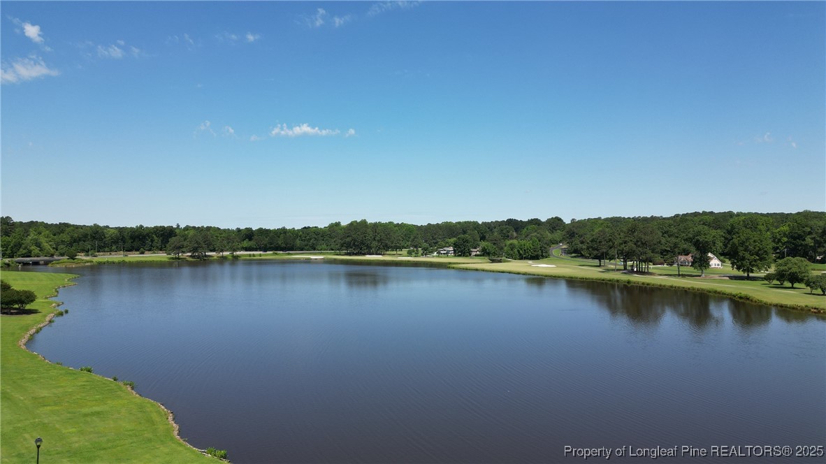 1036 Meadow Reach Sanford, NC 27332 - Photo 28 of 30 a view of a lake with a city view