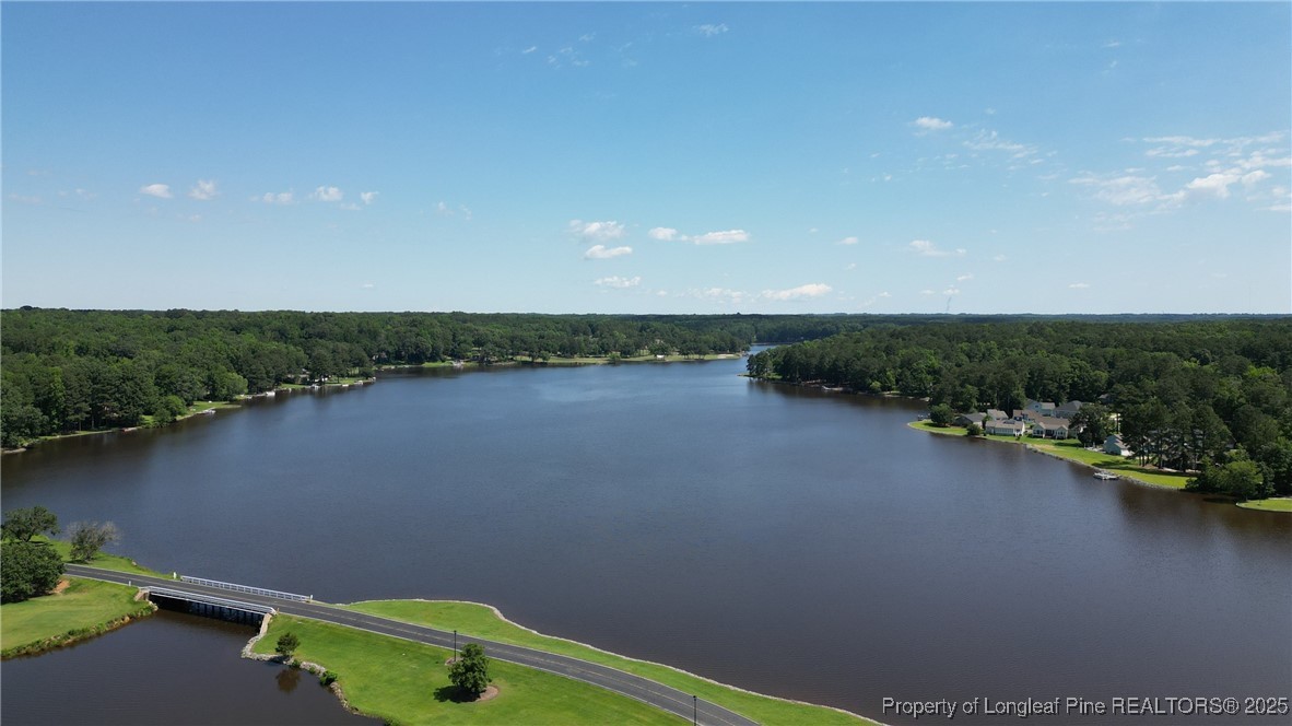 1036 Meadow Reach Sanford, NC 27332 - Photo 29 of 30 a view of a lake with a city
