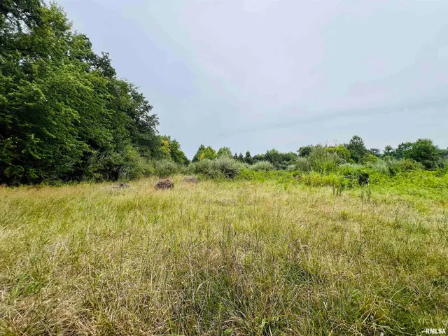 $62,500 | 0 South County Line Road, West Frankfort, IL 62896