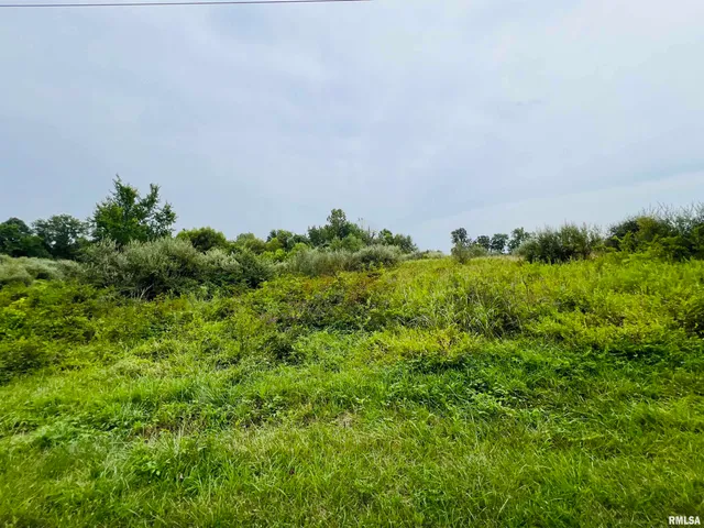 $62,500 | 0 South County Line Road, West Frankfort, IL 62896