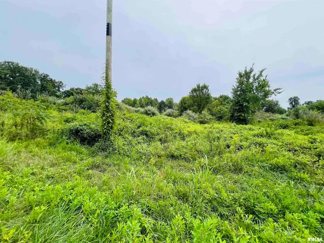 $62,500 | 0 South County Line Road, West Frankfort, IL 62896