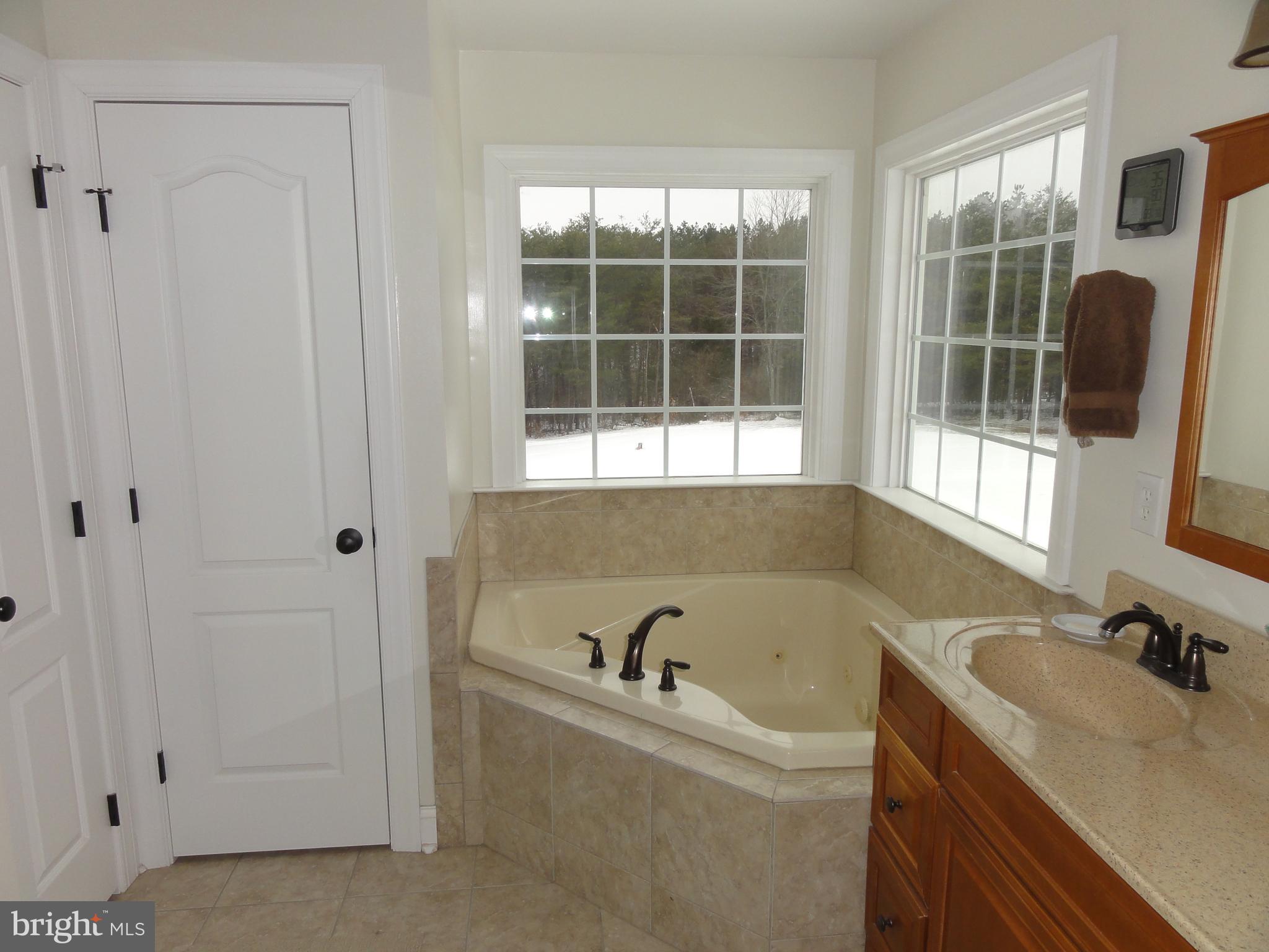 185 Whitacre Road Gore, VA 22637 - Photo 26 of 63 Master bathroom