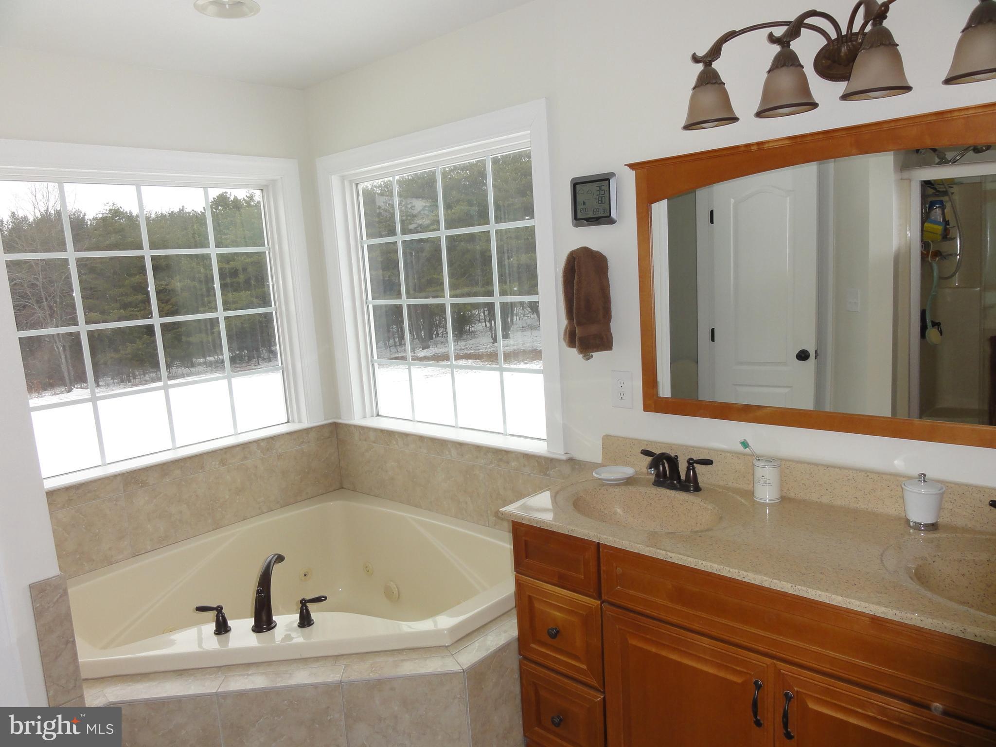 185 Whitacre Road Gore, VA 22637 - Photo 27 of 63 Master bathroom
