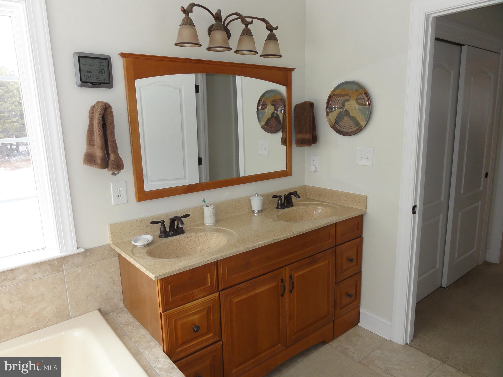 185 Whitacre Road Gore, VA 22637 - Photo 28 of 63 Master bathroom