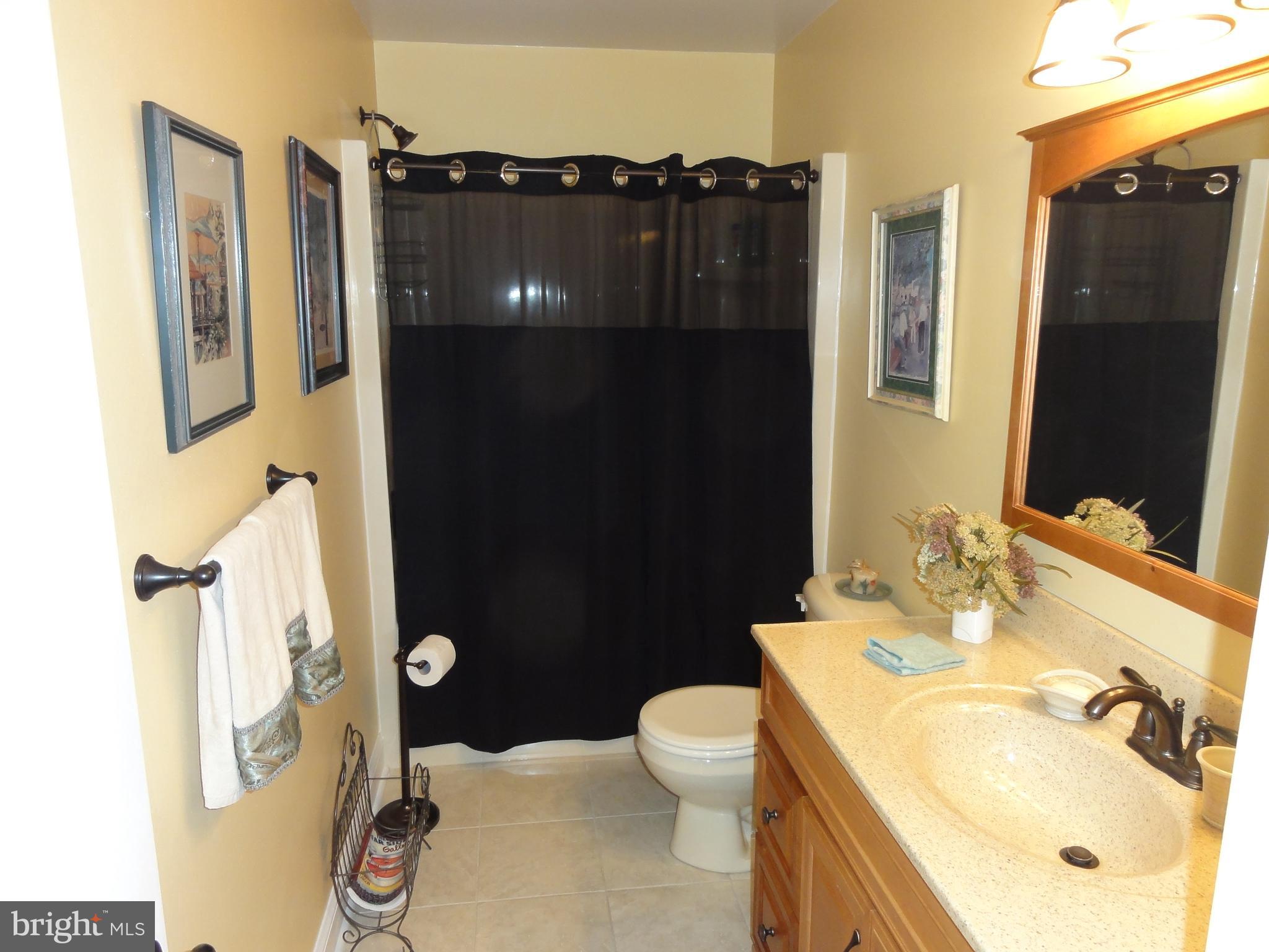185 Whitacre Road Gore, VA 22637 - Photo 38 of 63 Upper level hall bathroom