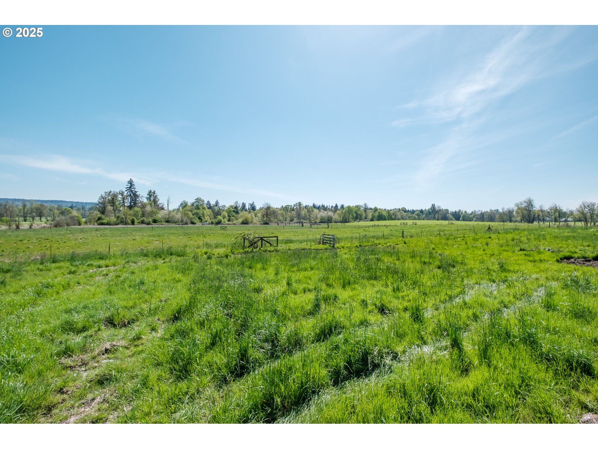 38588 Goar Road Scio, OR 97374 - Photo 48 of 48 a view of a big yard with large trees