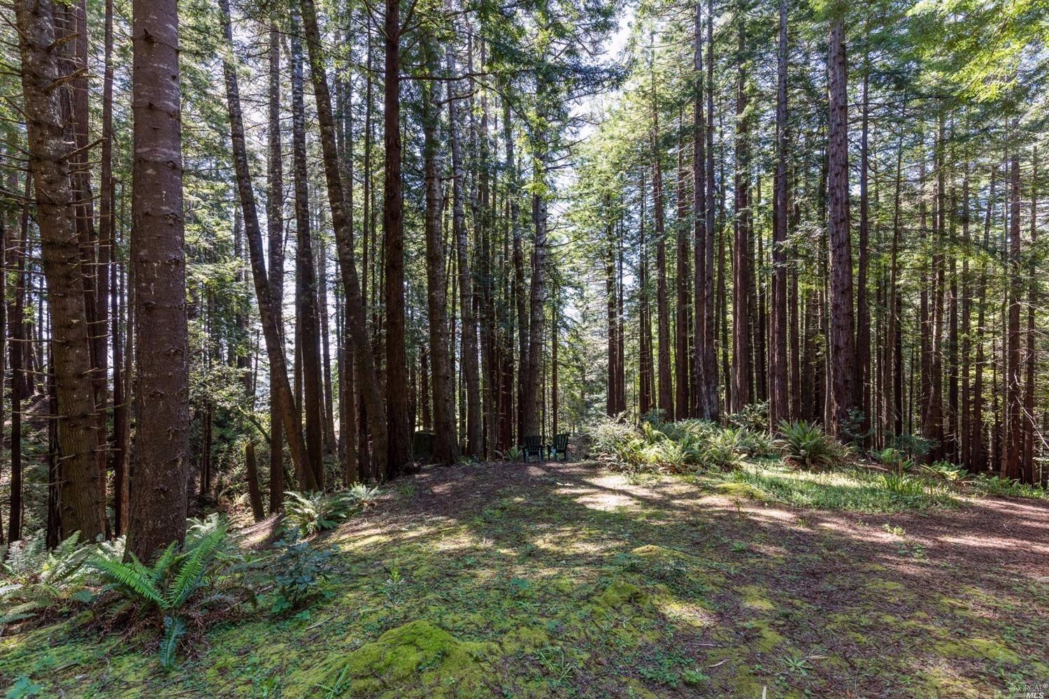 330 Westerly Close The Sea Ranch, CA 95497 - Photo 1 of 1 Paradise Found!! Magical private Hillside setting surrounded by acres and acres of commons and bordered by a seasonal creek.