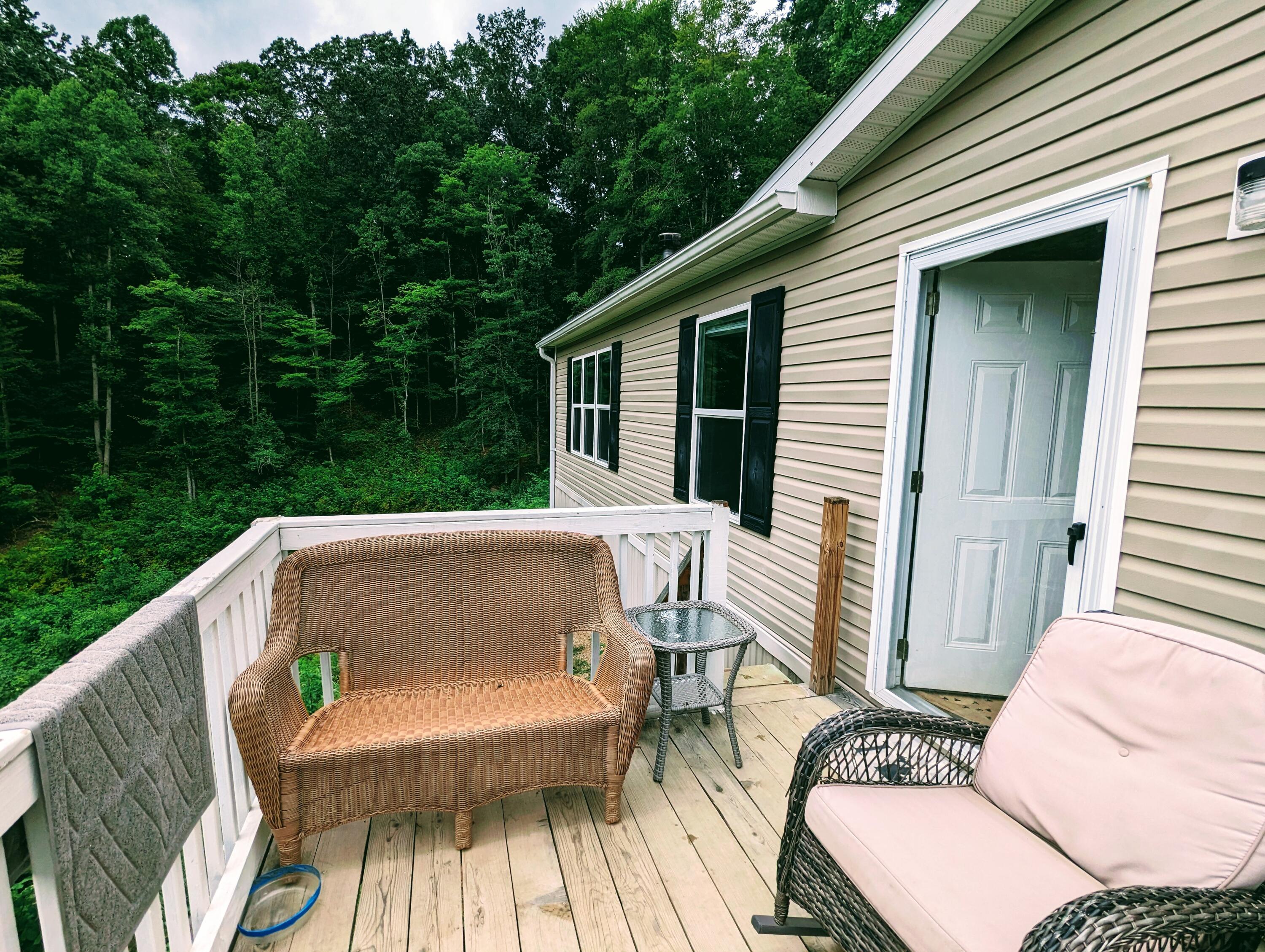 2570 Backbone Ridge Haysi, VA 24256 - Photo 3 of 39 PXL_20230719_182159339