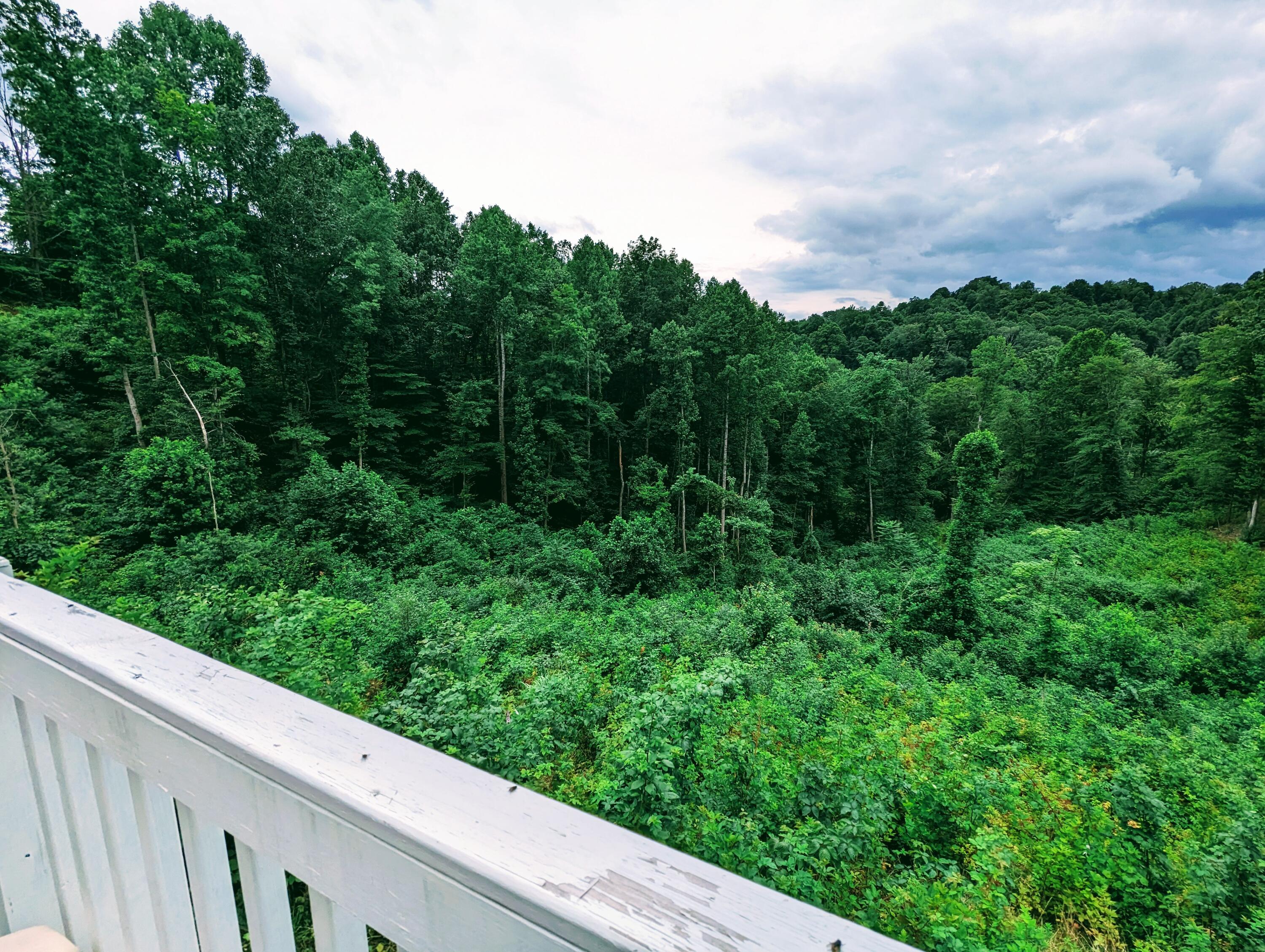2570 Backbone Ridge Haysi, VA 24256 - Photo 4 of 39 PXL_20230719_182142844