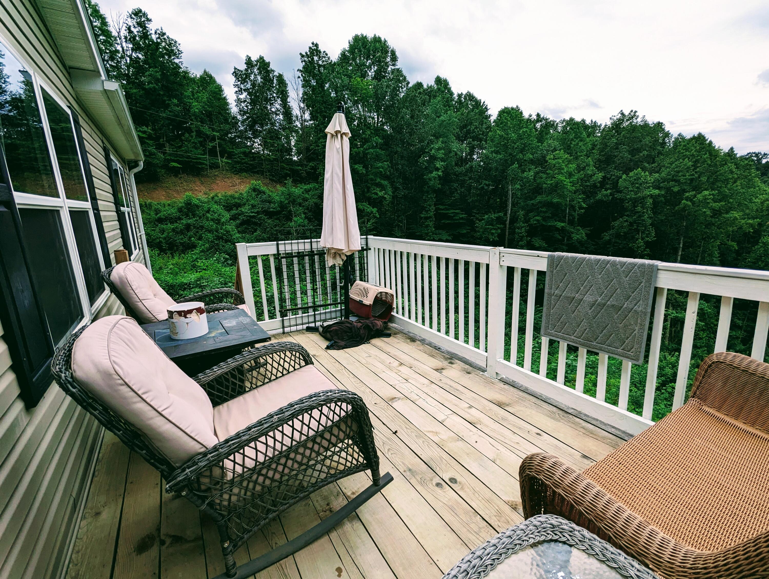 2570 Backbone Ridge Haysi, VA 24256 - Photo 6 of 39 PXL_20230719_182132206