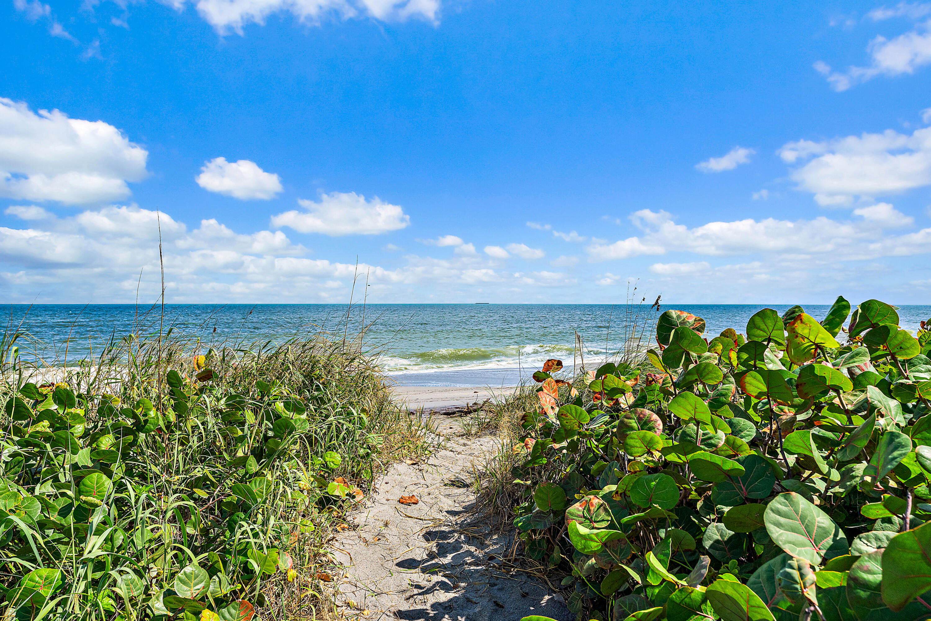 240 Celestial Way, Unit 2 Juno Beach, FL 33408 - Photo 49 of 59 a view of a lake with a building in the background