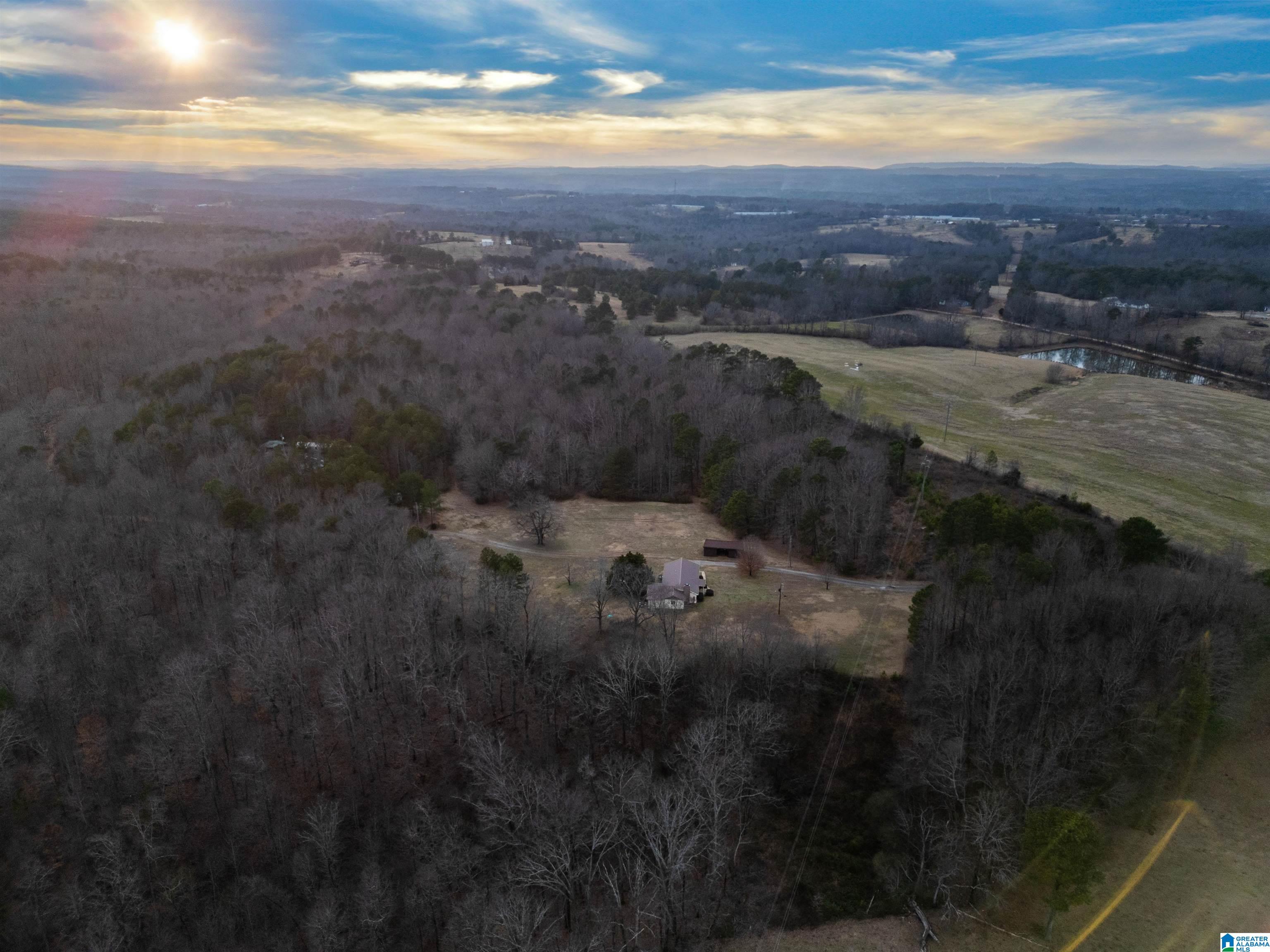 560 Phillips Drive Oneonta, AL 35121 - Photo 5 of 50