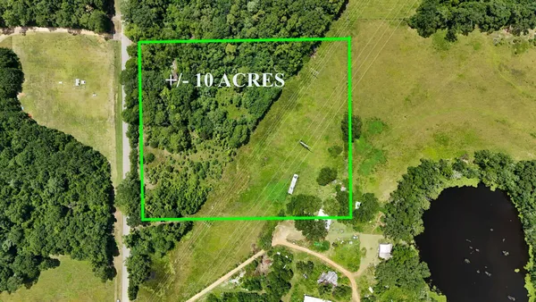 a close up of a plant in a garden