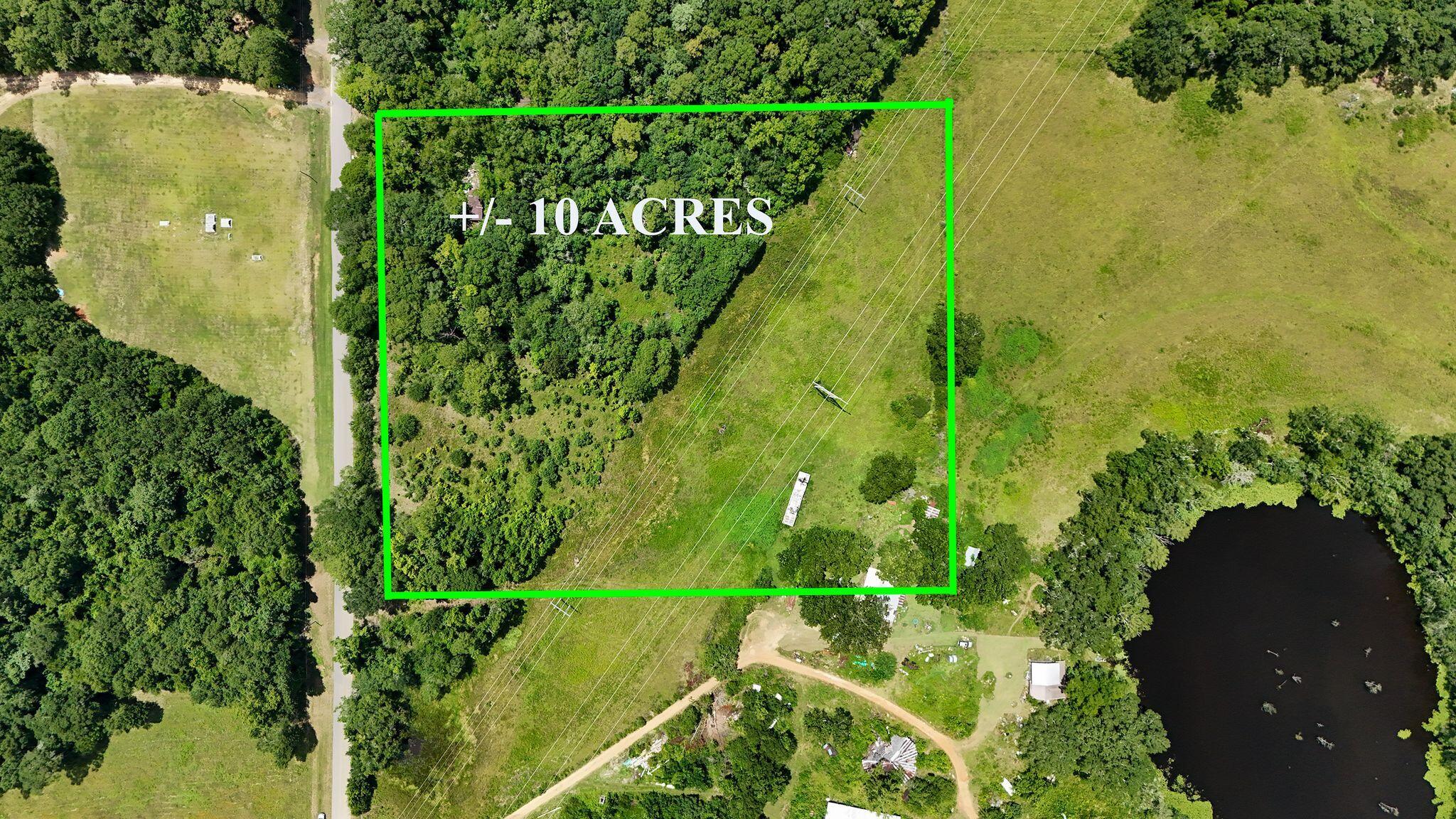 601 Oak Grove Road Westville, FL 32464 - Photo 11 of 12 a close up of a plant in a garden