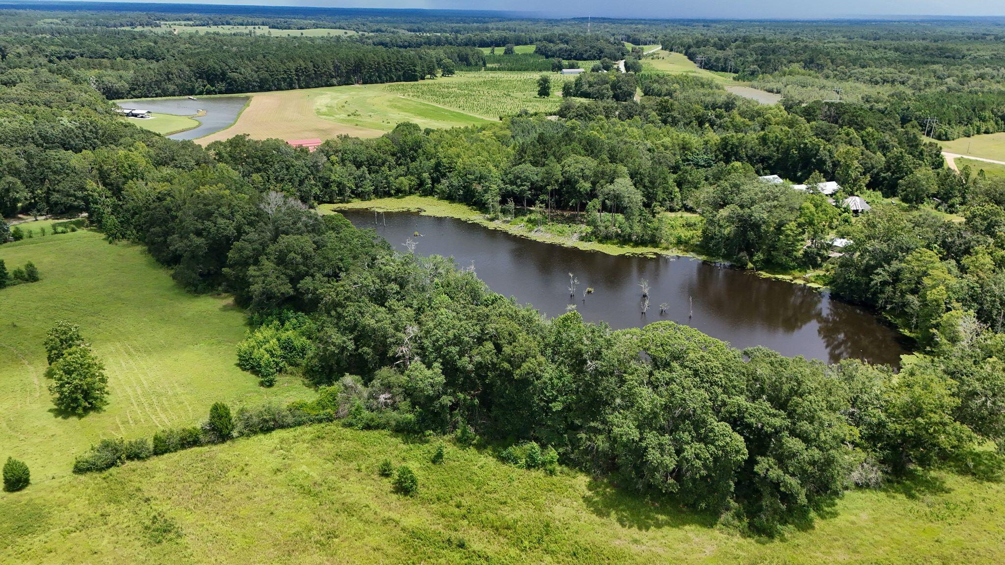 601 Oak Grove Road Westville, FL 32464 - Photo 12 of 12 an aerial view of a houses with a yard and lake view
