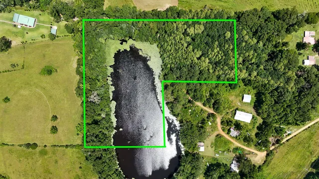 a view of a yard with plants