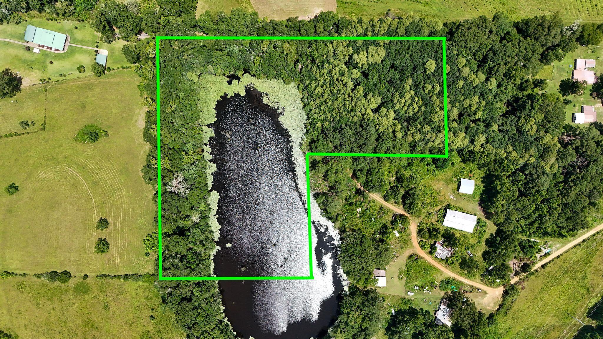 601 Oak Grove Road Westville, FL 32464 - Photo 2 of 12 a view of a yard with plants