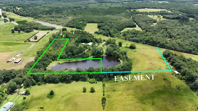 a view of a garden with plants