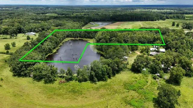 a view of a garden with a lake view