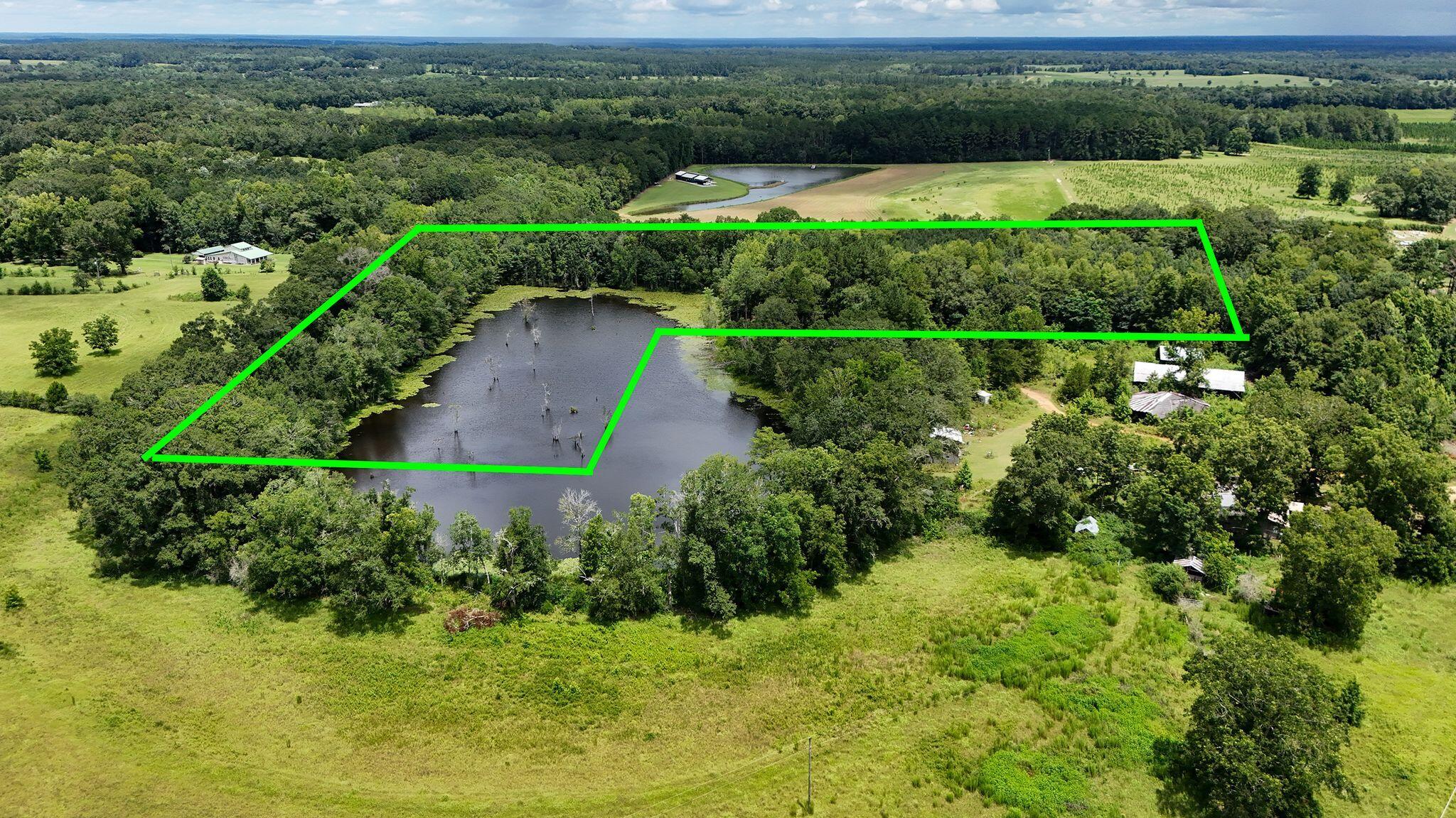 601 Oak Grove Road Westville, FL 32464 - Photo 5 of 12 a view of a garden with a lake view