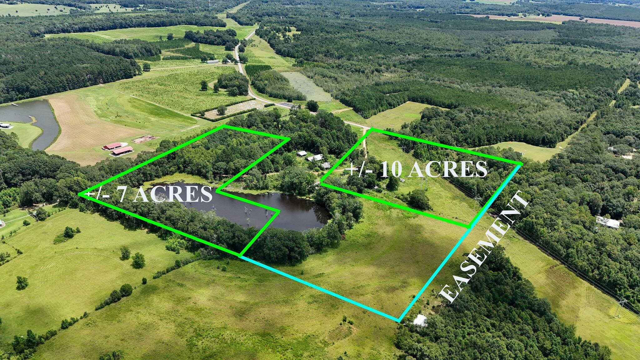 601 Oak Grove Road Westville, FL 32464 - Photo 6 of 12 a picture of plants