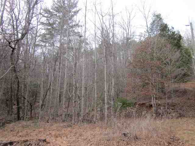 221 Devils Fork Road Marietta, SC 29661 - Photo 1 of 2 Gallery Image 1