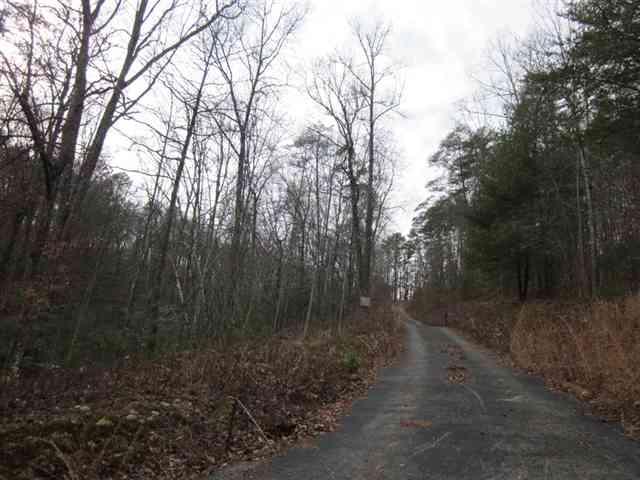 221 Devils Fork Road Marietta, SC 29661 - Photo 2 of 2 Gallery Image 2