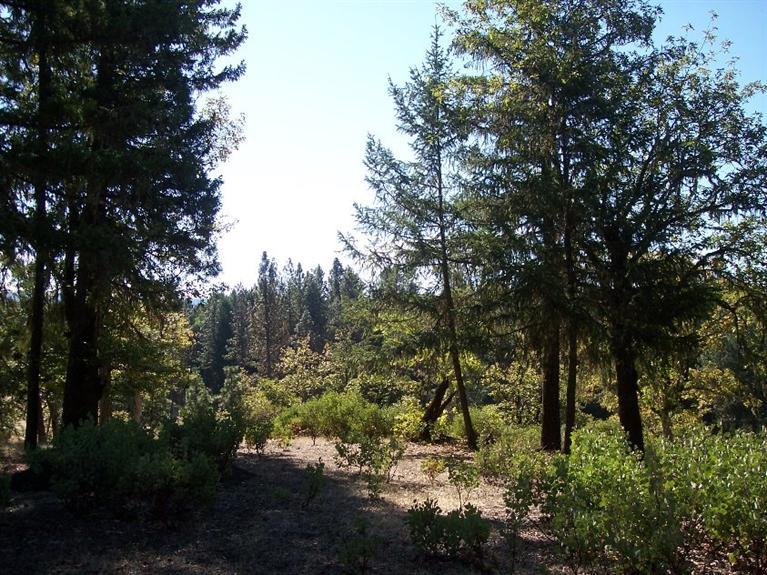 2542 Lewis Road Prospect, OR 97536 - Photo 18 of 20 Additional Photo