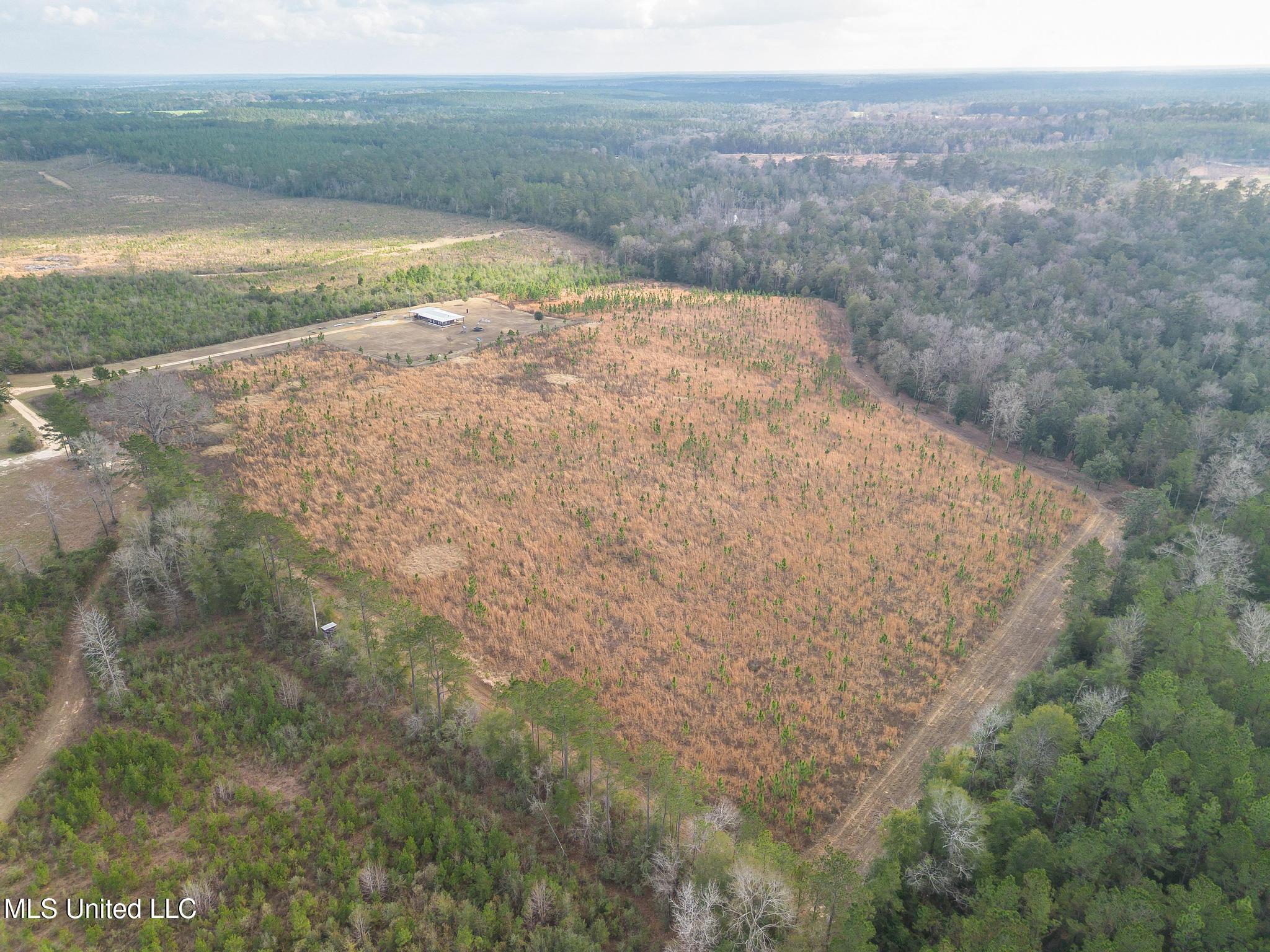 85 Major Road Wiggins, MS 39577 - Photo 16 of 20 DJI_0207