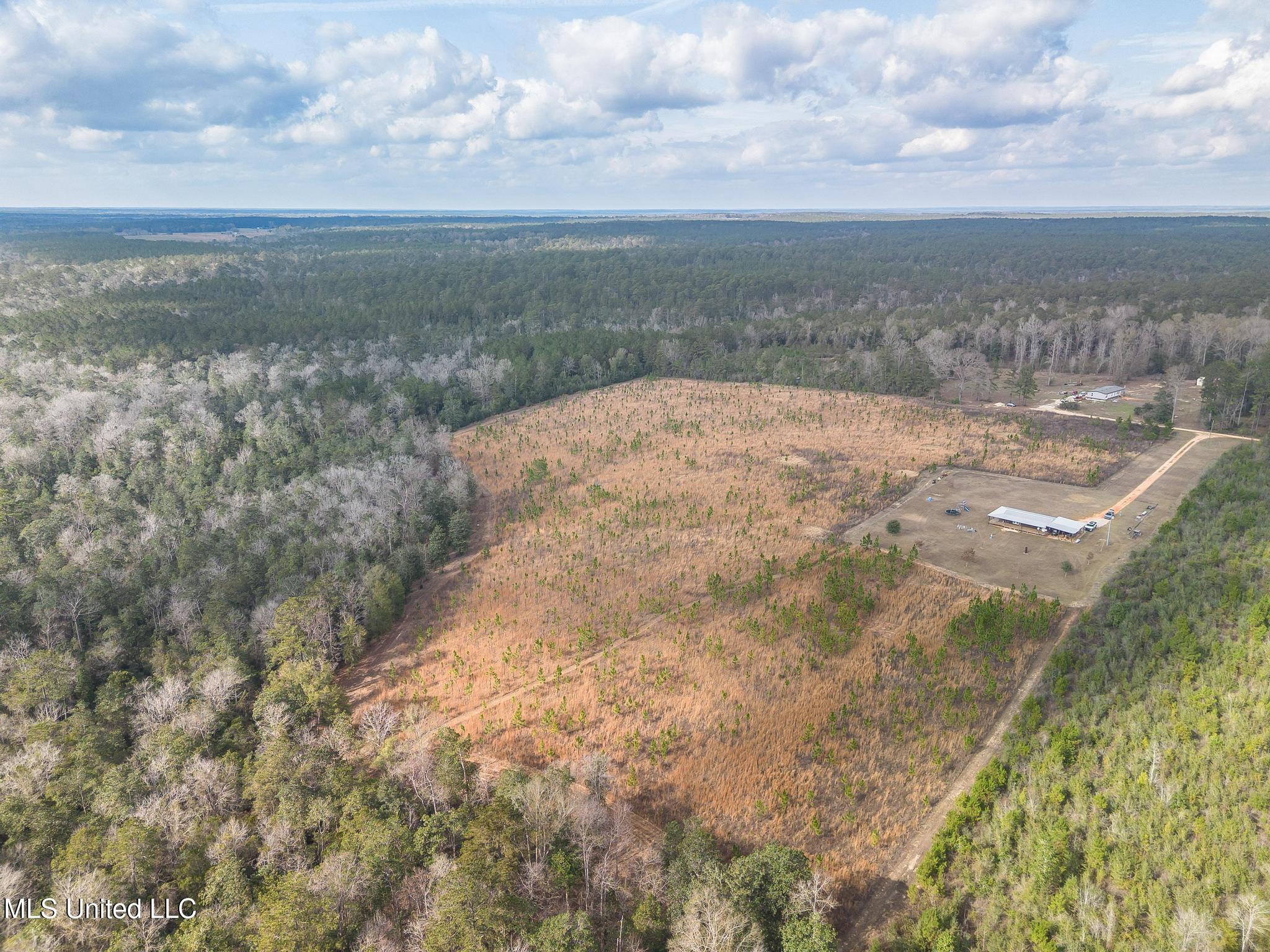 85 Major Road Wiggins, MS 39577 - Photo 17 of 20 DJI_0208