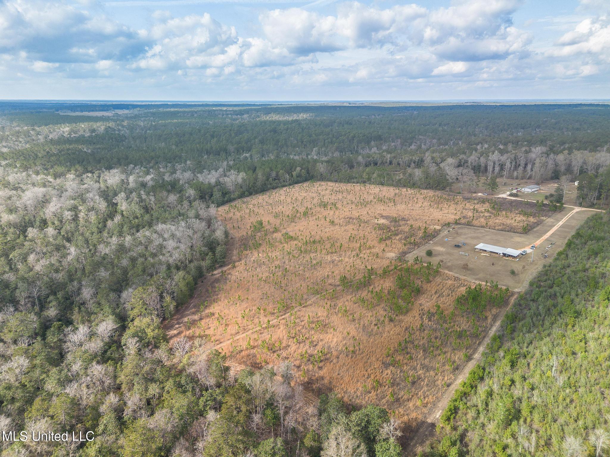85 Major Road Wiggins, MS 39577 - Photo 18 of 20 DJI_0209