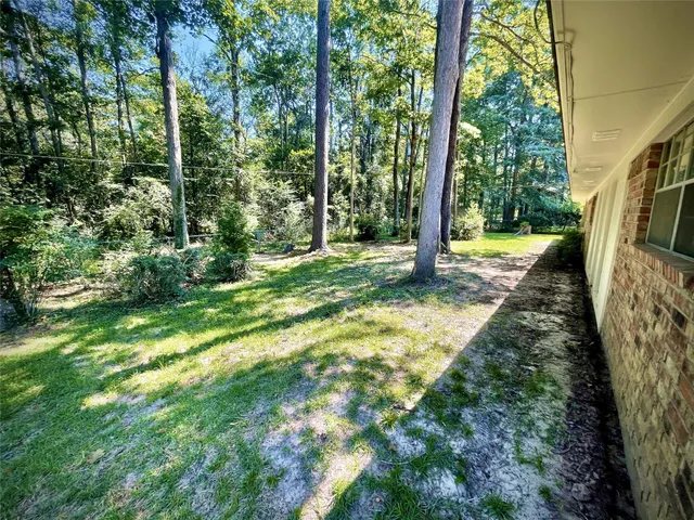 a view of a yard with large trees
