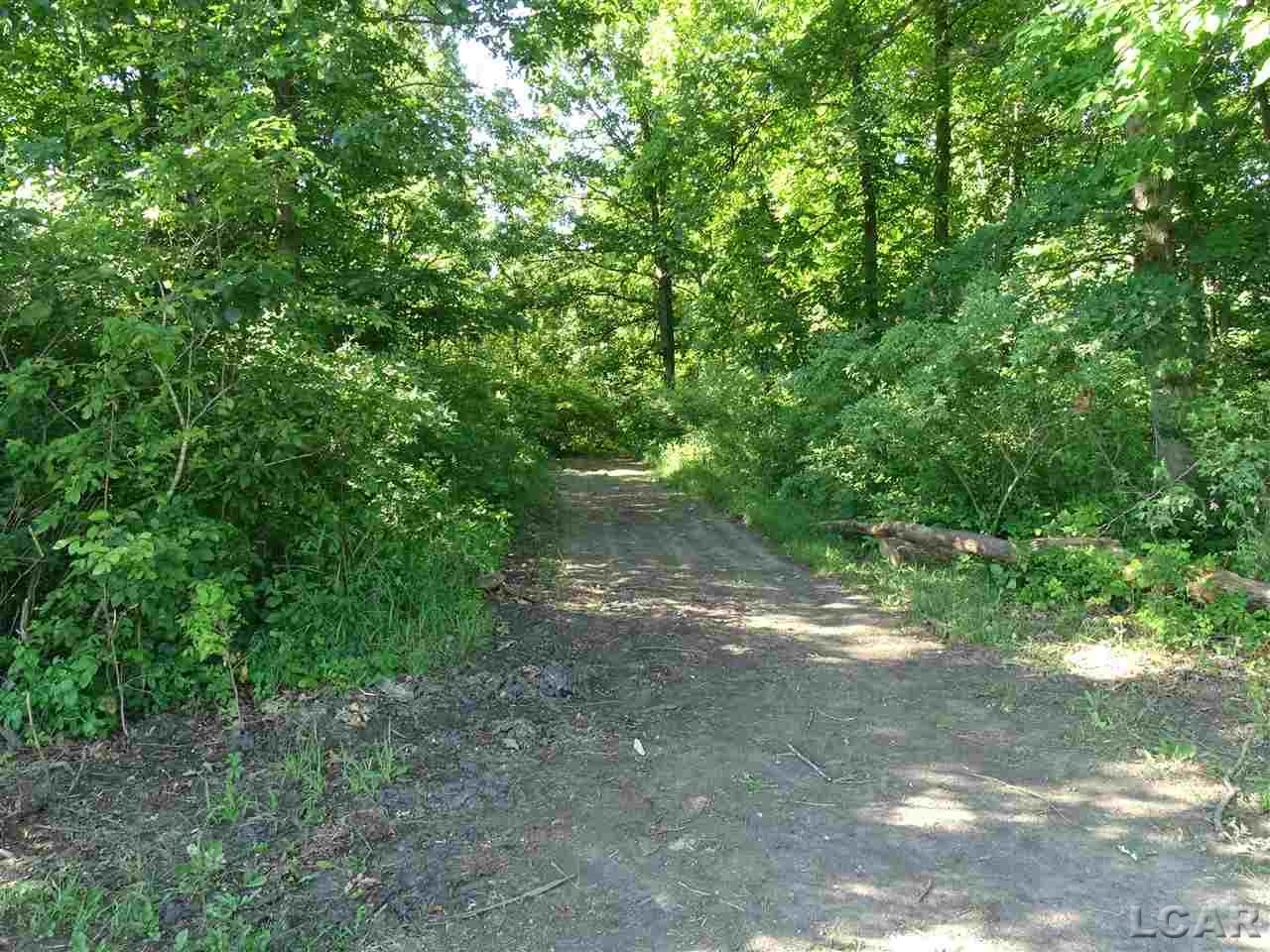 14000 Burton Road Clayton, MI 49235 - Photo 1 of 1