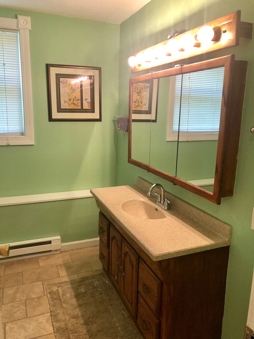 374 Rock Island Road Dixon, IL 61021 - Photo 12 of 20 a bathroom with a sink and a mirror