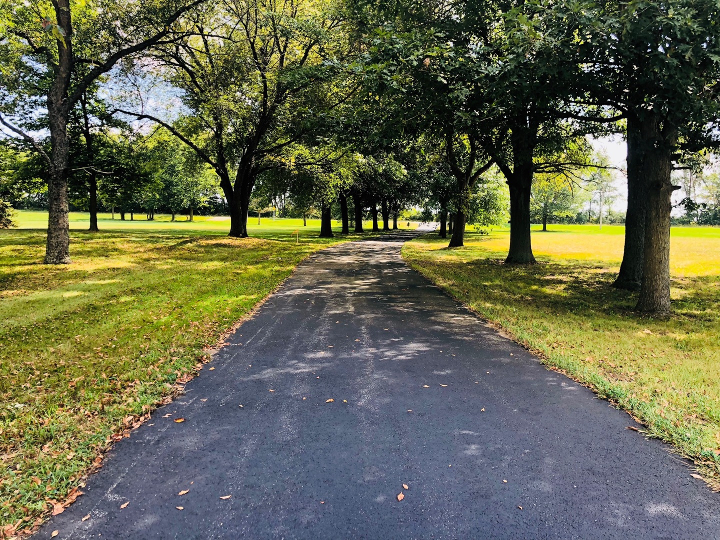 374 Rock Island Road Dixon, IL 61021 - Photo 15 of 20 a view of a yard with a tree