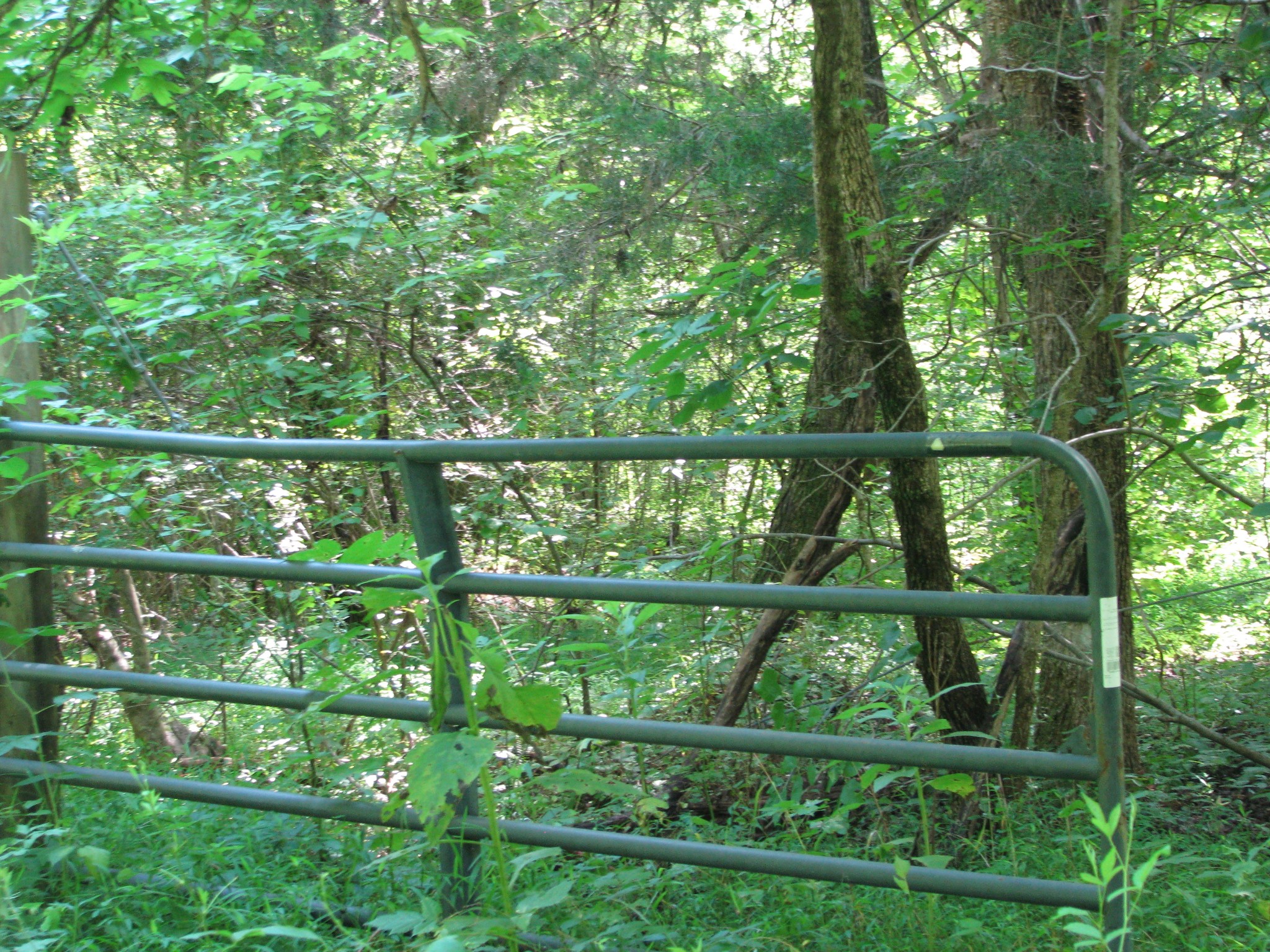 0 Matthews Hollow Road Waverly, TN 37185 - Photo 12 of 19