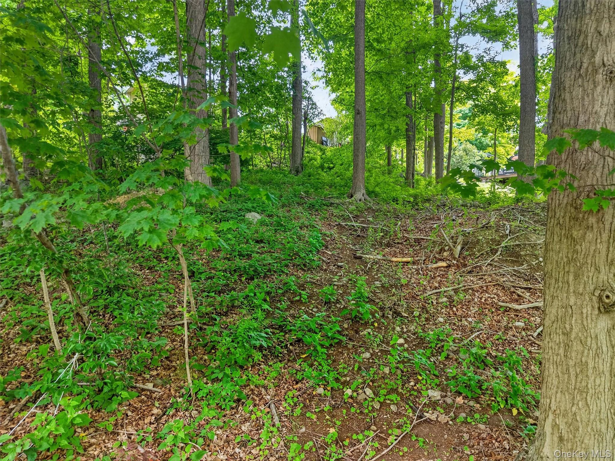 154 Gallows Hill Road Garrison, NY 10524 - Photo 4 of 9
