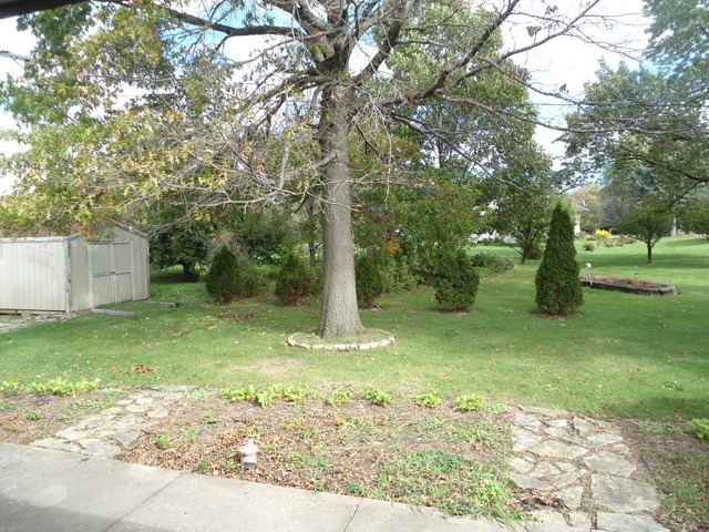 33658 North State Road Genoa, IL 60135 - Photo 14 of 16
