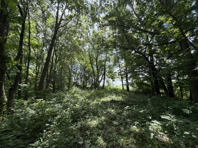 35537 Log House Lane Prairie du Chien, WI 53821 - Photo 26 of 36