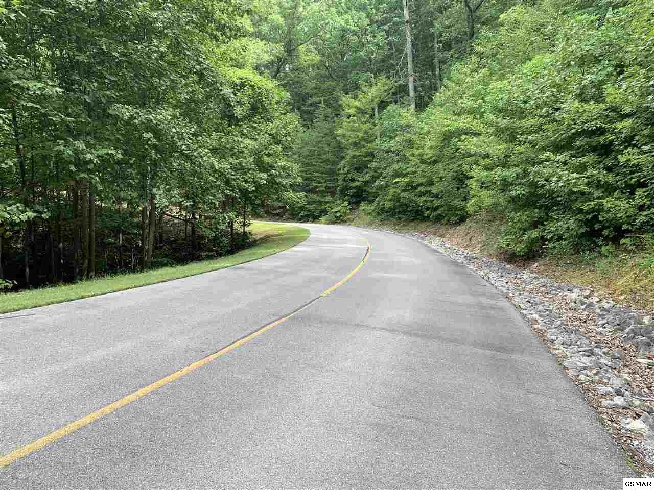 120 Long Rifle Road Sevierville, TN 37862 - Photo 6 of 11 Gallery Image 6