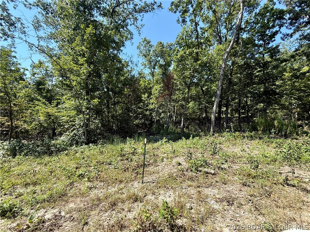 4.6-acres Possum Trot Road Stover, MO 65078 - Photo 3 of 5 Gallery Image 3