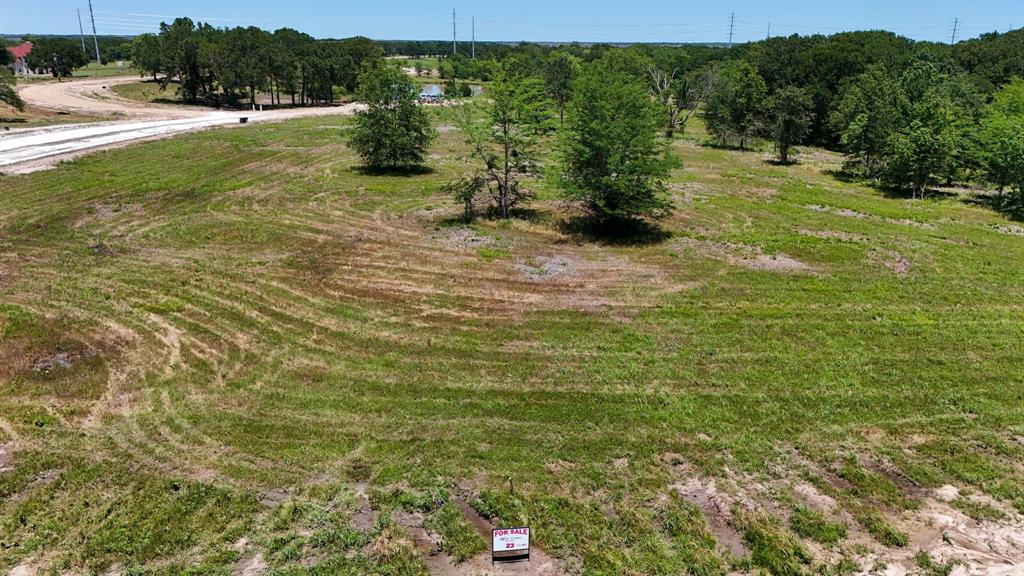 225 Diamond Point Dodd City, TX 75438 - Photo 5 of 13 a view of a field with an trees
