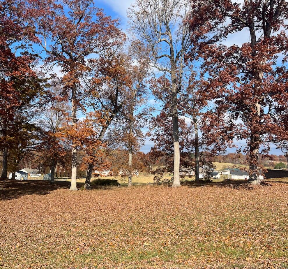 120 Townsend Road, Unit 3 Fall Branch, TN 37656 - Photo 1 of 14 IMG_6758