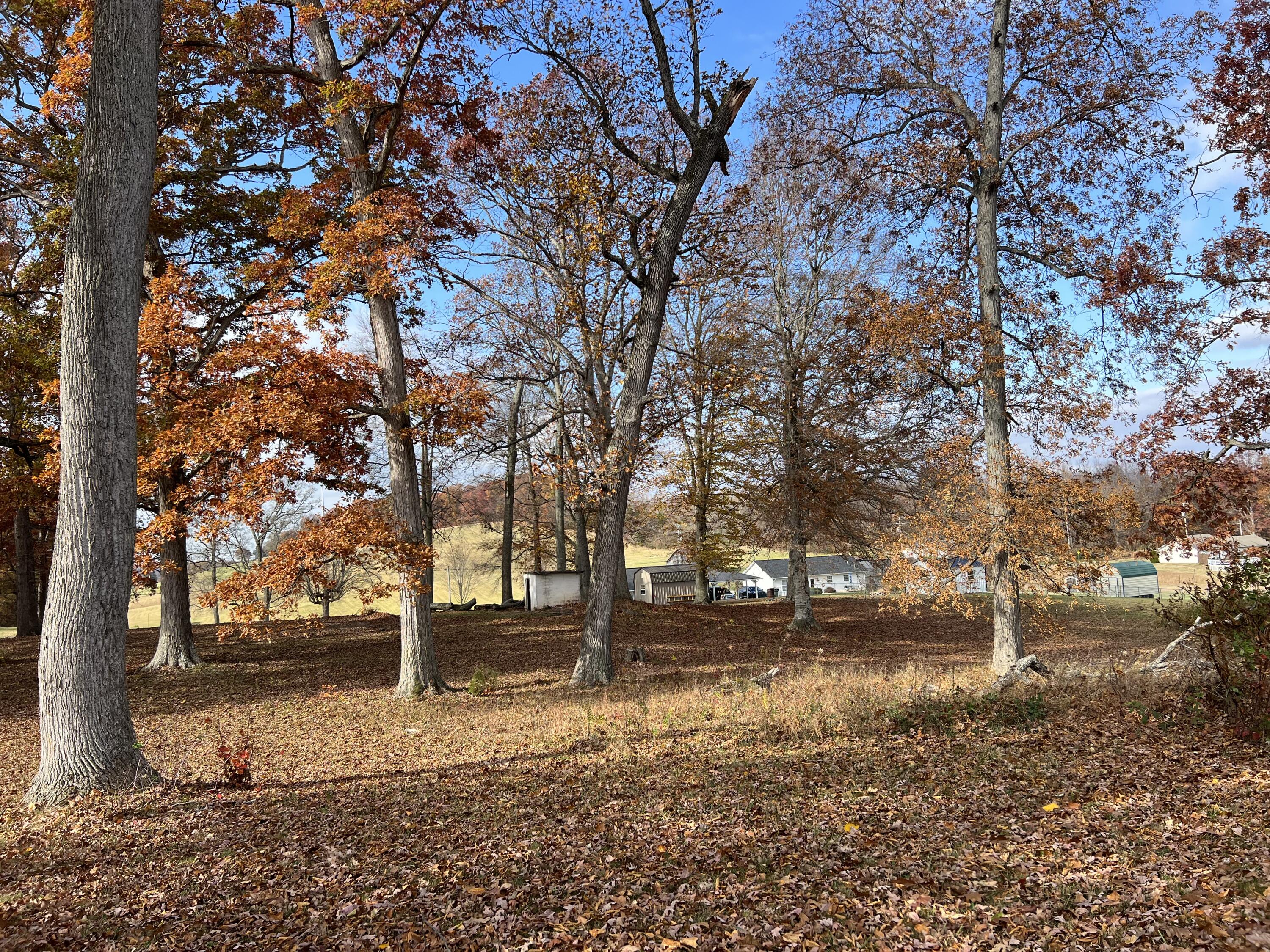 120 Townsend Road, Unit 3 Fall Branch, TN 37656 - Photo 13 of 14 IMG_6772
