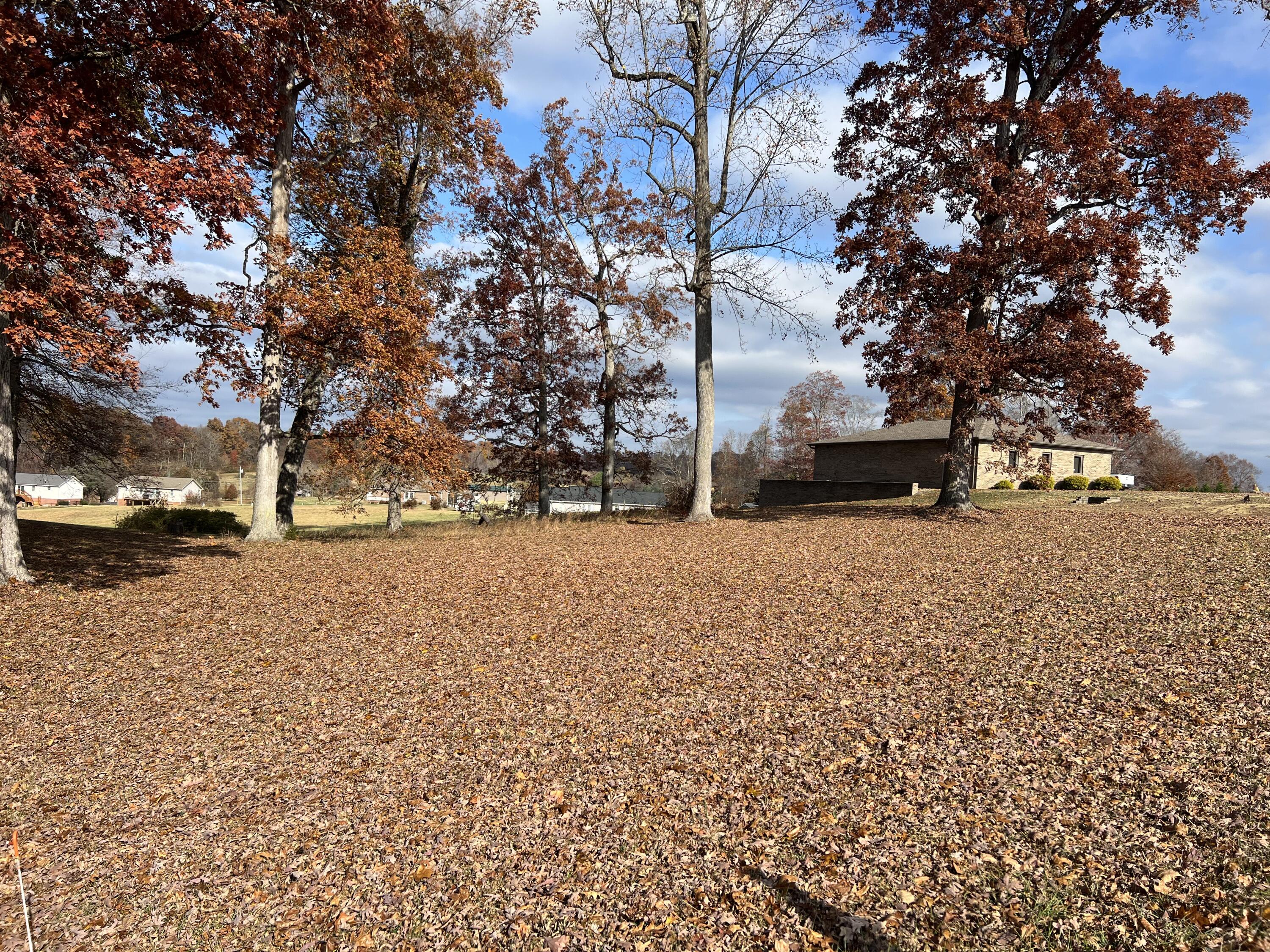 120 Townsend Road, Unit 3 Fall Branch, TN 37656 - Photo 4 of 14 IMG_6776