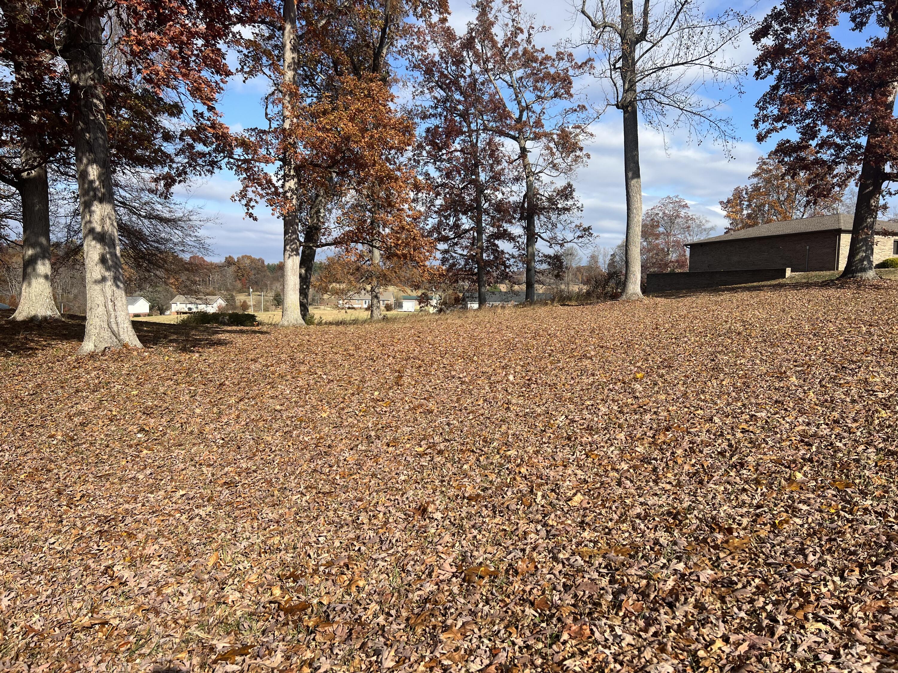 120 Townsend Road, Unit 3 Fall Branch, TN 37656 - Photo 5 of 14 IMG_6759