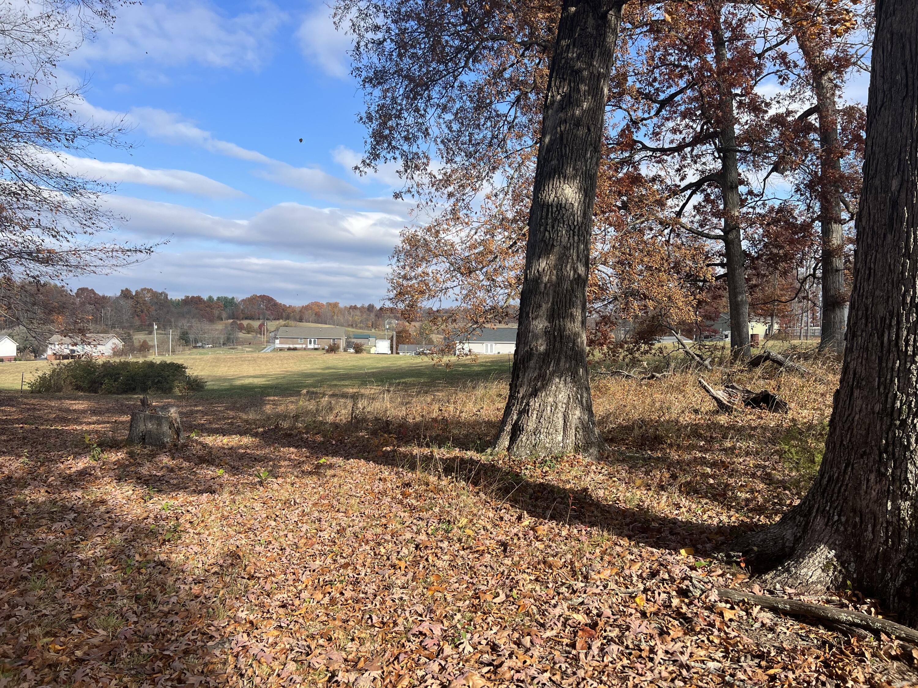 120 Townsend Road, Unit 3 Fall Branch, TN 37656 - Photo 6 of 14 IMG_6763