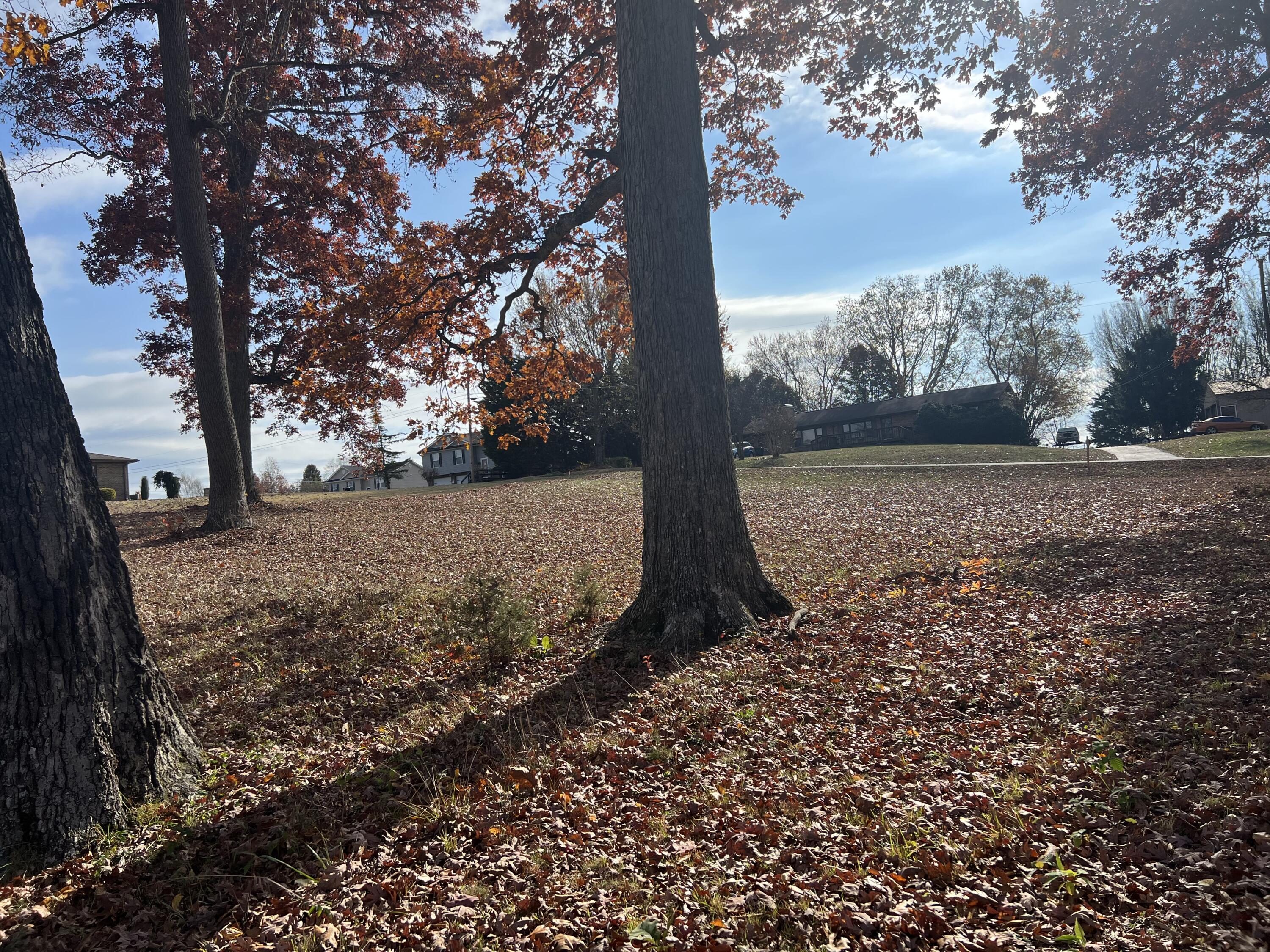 120 Townsend Road, Unit 3 Fall Branch, TN 37656 - Photo 7 of 14 IMG_6764
