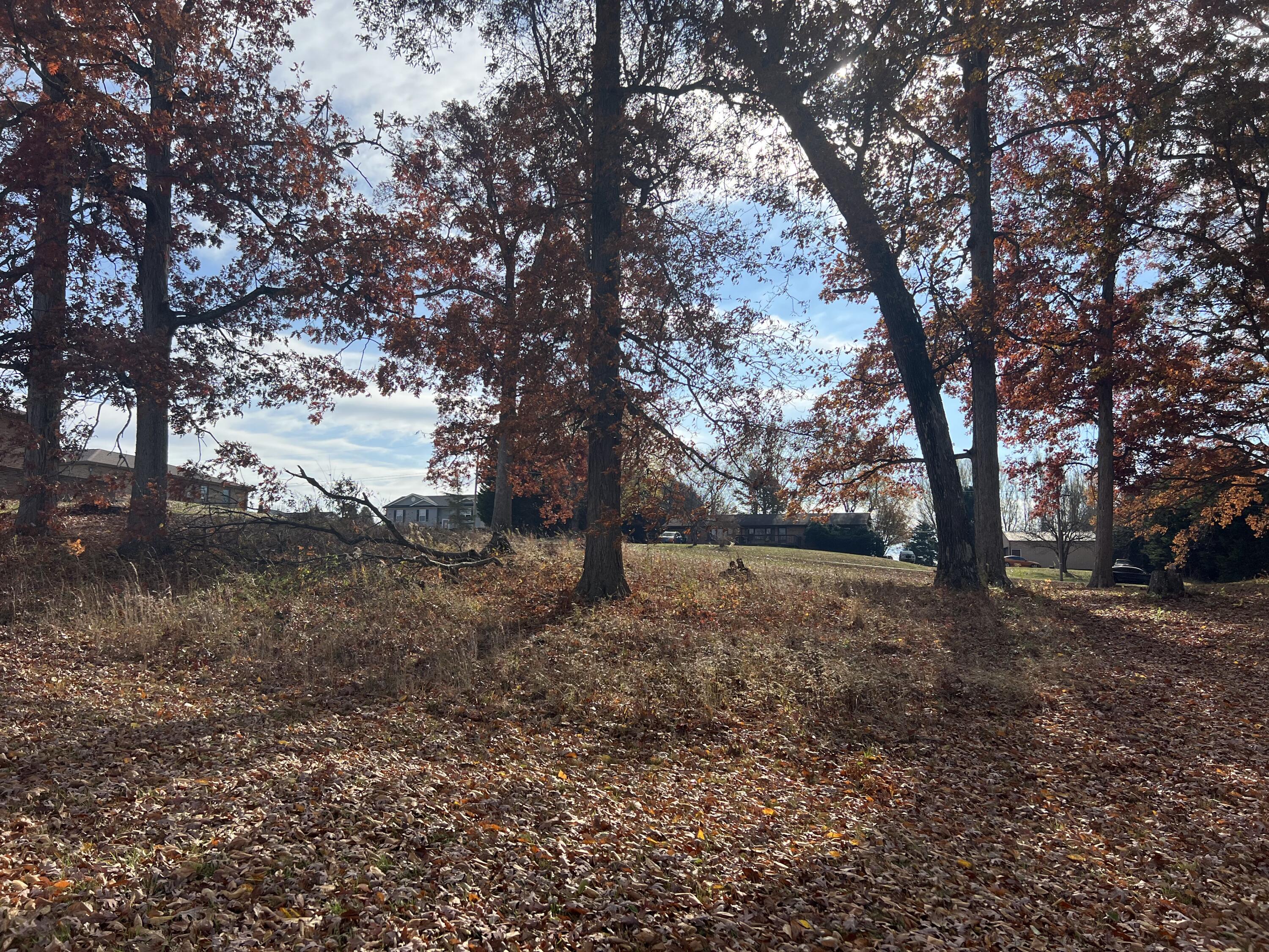 120 Townsend Road, Unit 3 Fall Branch, TN 37656 - Photo 8 of 14 IMG_6765